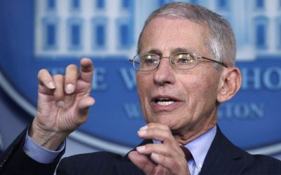 AIER: Fauci, Collins colluded to smear anti-lockdown scientists