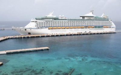 Mexican Government Allowing Cruise Ships With COVID-19 To Disembark