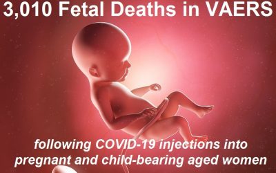 3010 Dead Babies 14,639 Cases of Heart Disease After 1 Year of Experimental COVID-19 Shots