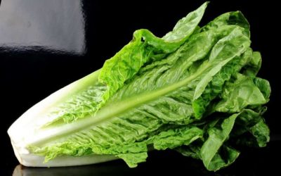 Salmonella With Your Salad? Study Reveals Dozens Of Harmful Bacteria On ‘Healthy’ Vegetables |