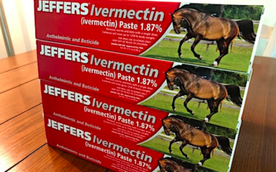 FDA renews ‘horse’ smear as ivermectin trends on new Twitter