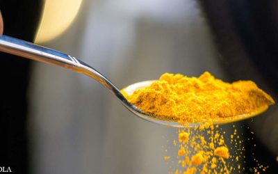 Could This Spice Help Heal Damaged Blood Vessels?