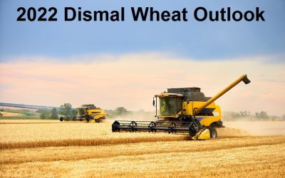 Wheat Farmland Under Threat Worldwide As USDA Reveals Dismal Grain Outlook