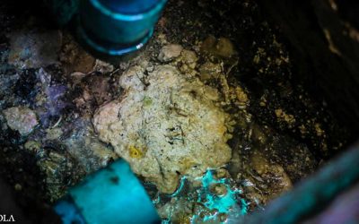 Drain-Blocking Fatbergs Are Becoming Increasingly Common