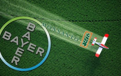 Will Supreme Court Let Bayer-Monsanto Off the Hook for Cancer-Causing Glyphosate Herbicide Roundup?