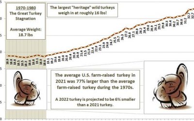 Turkey Shrinkflation | zh