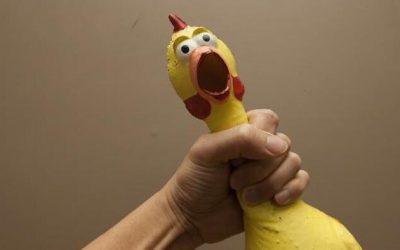 1.8M Chickens Slaughtered In Nebraska As Bird Flu Pecks Away At Food Supply