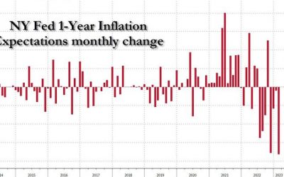 1-Year Inflation Expectations Tumble At Fastest Pace On Record