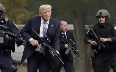 Zero Dark Trump | zh