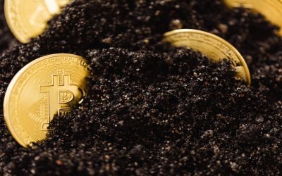 Number of Irretrievably Lost BTC Now 6 Million — Cane Island Manager – Featured Bitcoin News