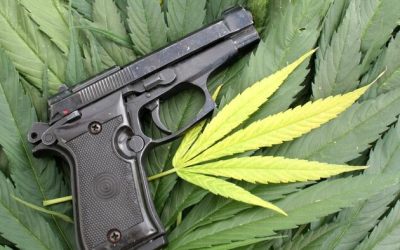 ATF: Pot Users Can’t Legally Own Firearms Regardless Of State Laws