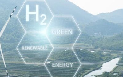 Transition Tension: ‘Greenlash’ Wave Jeopardizes Energy Reform