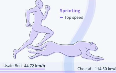Athletes Vs Animals… Not Even Close