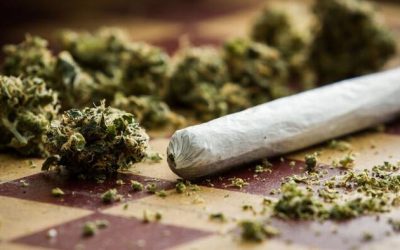 Half Of Americans Live In States Where Weed Is Legal, Health Officials Push To Ease Restrictions