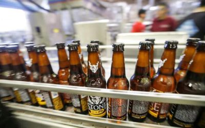 Biden Alcohol Czar Says US May Change Recommendations For How Much Beer Americans Should Drink