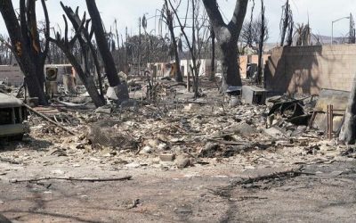 Why Is There Such A Frenzy To Buy Up The Properties That Were Just Burned Down During The Fires In Hawaii?