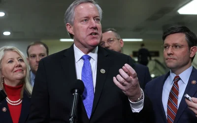 Court Adjourns With No Decision Yet In Meadows Case oan