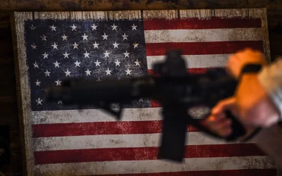 Illinois Supreme Court Endorses State’s Ban On Semiautomatic Guns oan