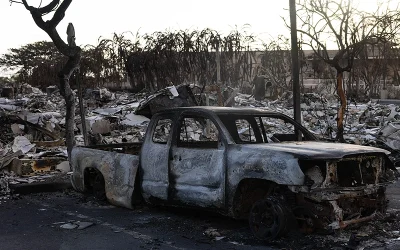Maui Fires That Killed At Least 93 Caused By Faulty Hawaiian Electric Power Lines, Attorneys Claim oan