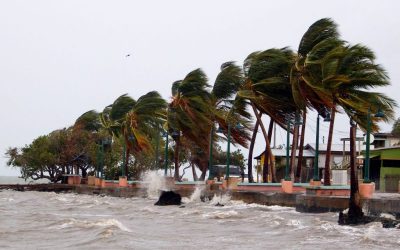 How Are Hurricanes Named? oan