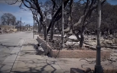 Maui Fires: Natural Disaster or Deliberate Devastation?