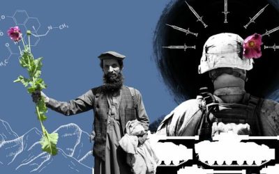 Taliban’s Massively Successful Opium Eradication Raises Questions About What US Was Doing All Along