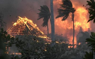 Horror: Those Who Disobeyed Barricades Survived Maui Fires