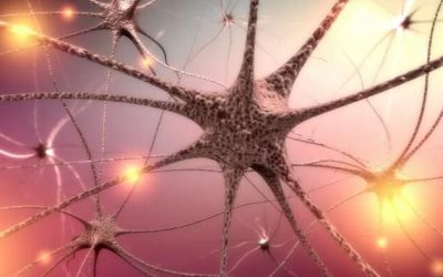 COVID-19 Vagus Nerve Inflammation May Lead To Dysautonomia: New Study