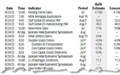 Key Events This Week: Jackson Hole, Durable Goods And Nvidia Earnings