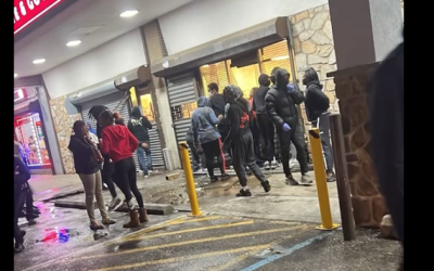All Philly Liquor Stores Closed After Mass Looting