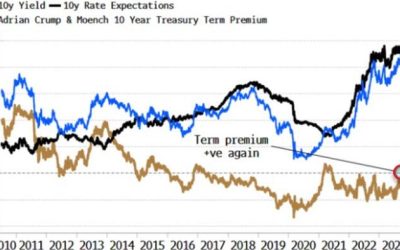 Positive Term Premia Drive Yields And Steeper Curve