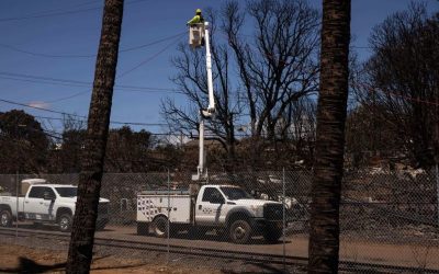 Hawaiian Electric CEO Testifies During House Hearing On Maui Fires oan