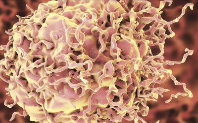 Myeloma, Leukemia, and Other Cancers Linked to COVID: Study