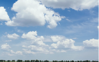 Here’s the Climate Dissent You’re Not Hearing About Because It’s Muffled by Society’s Top Institutions