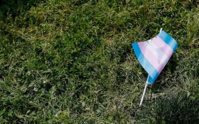 Detransitioner Sues Doctors Who Cut Off Her Breasts At 16