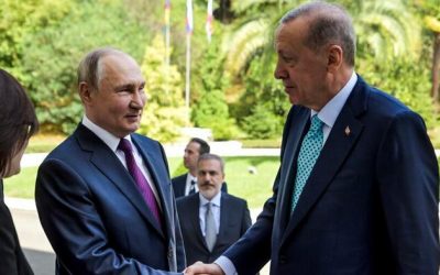 Putin Tells Erdogan Russia Will Rejoin Grain Deal If Sanctions Eased, SWIFT Reconnected