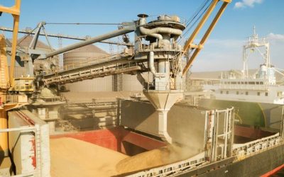 Brazil Displaces US As Corn-Exporter King As Trade Winds Shift