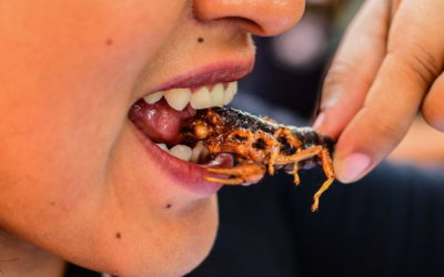 Bloomberg Pushes Climate Doom As Reason Why You Must Eat Bugs