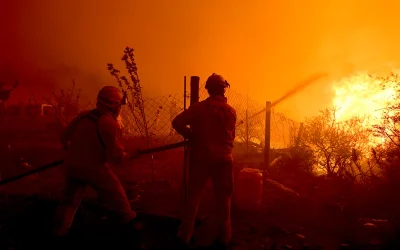 Wildfire ‘Started By Man Making Coffee’ Spreads, Suspect Arrested And Dozens Evacuated oan