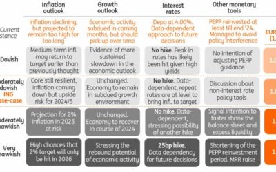ECB Preview: “No Changes… With Optionality For Future Hikes”
