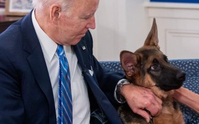 Biden’s Dog Removed From White House Following Biting Reports oan