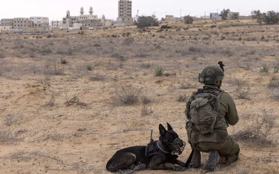 Israeli K-9 Unit Credited After Rescue Of Over 200 Civilians During Hamas Attacks oan