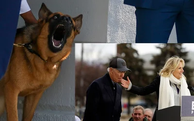 Biden’s Dog Commander Bites Another WH Staffer, 12th Documented Time oan
