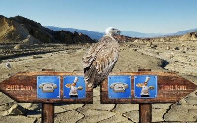 Peter Schiff: A Fork In The Road