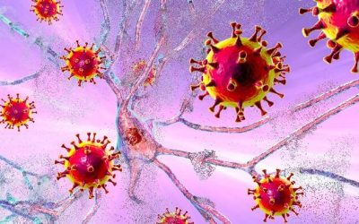 Antiviral Drug May Shorten COVID-19-Induced Loss Of Taste And Smell