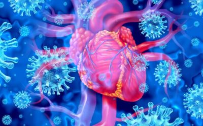 Excess Deaths From Cardiovascular Diseases Up 44% Last Year Among UK Citizens Aged 15-44: Report