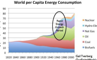 Tverberg: Today’s Energy Bottleneck May Bring Down Major Governments