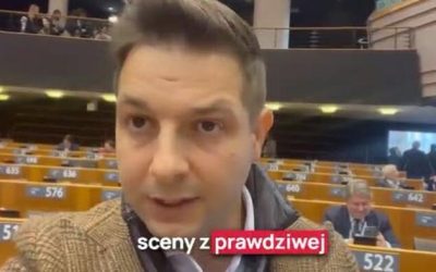 European Parliament Lifts Immunity Of Conservative MEPs Facing Criminal Charges For Retweeting Criticism Of Illegal Immigration