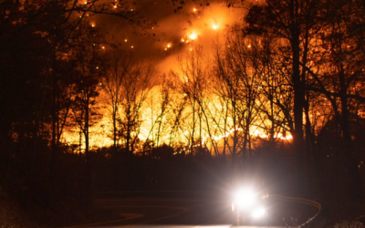 Parts Of Appalachian Trail Closed As Wildfires Rage Across US Southeast