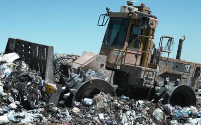 Recycling Eco-Myths Is The Existential Threat